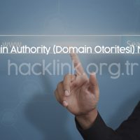 Domain Authority (Domain Otoritesi) Nedir?